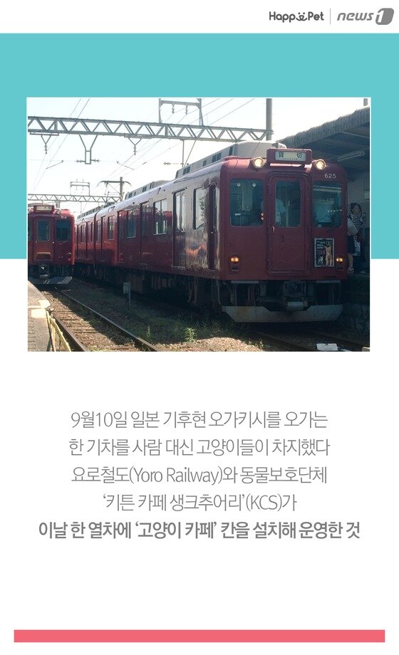 본문 이미지 -  