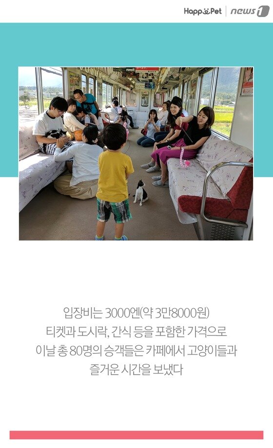 본문 이미지 -  