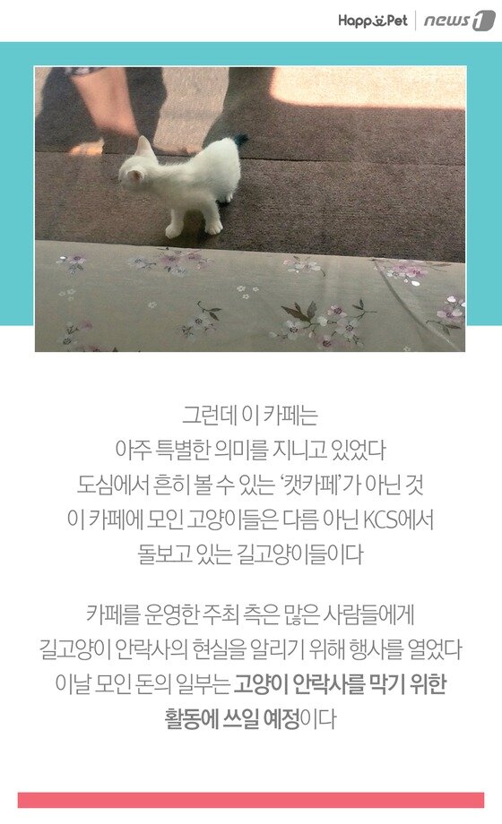 본문 이미지 -  