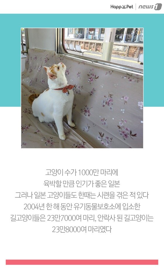 본문 이미지 -  