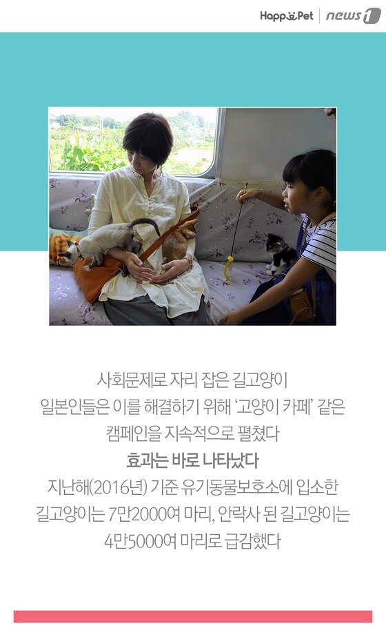 본문 이미지 -  