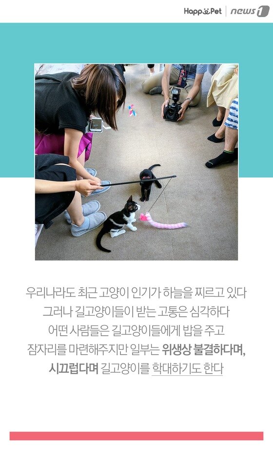 본문 이미지 -  