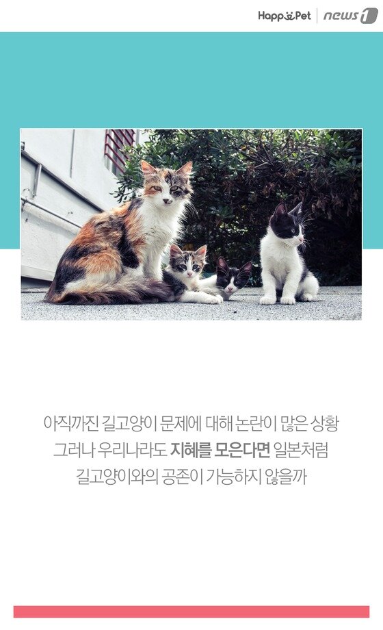 본문 이미지 -  