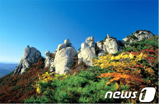오봉전망대. 국립공원관리공단 제공.© News1