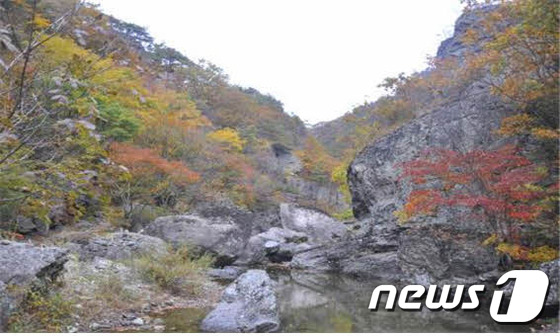 주왕산. 국립공원관리공단 제공.© News1
