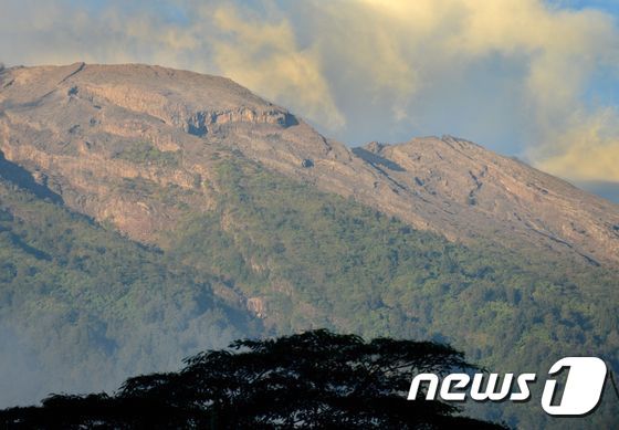 인니 발리섬 최고 위험 경보…"동물 하산 등 분화 조짐"