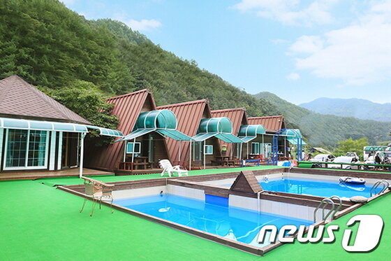 본문 이미지 - 사진 고고스펜션 제공. ⓒ News1