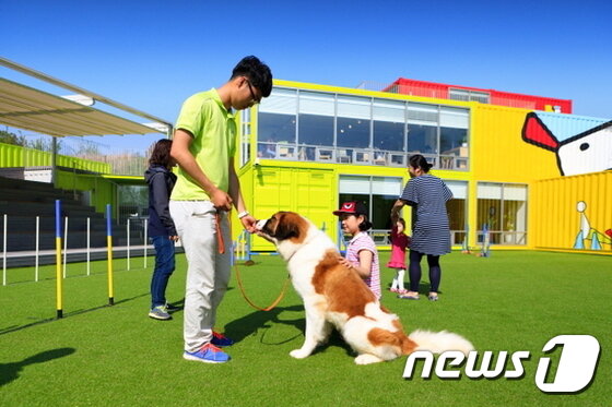 본문 이미지 - 사진 달려라코코 제공. ⓒ News1