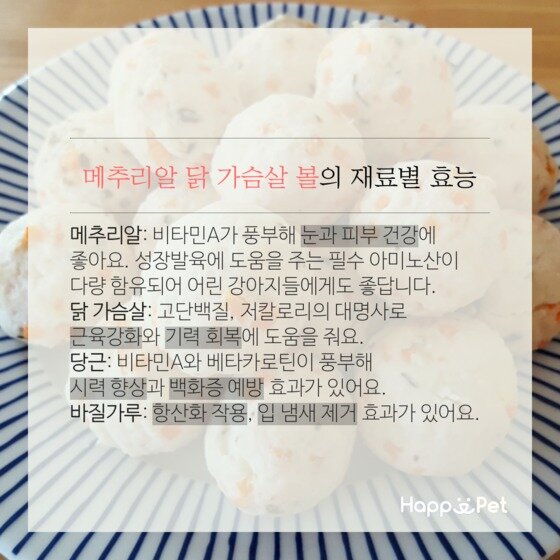 본문 이미지 - ⓒ News1