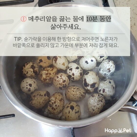 본문 이미지 - ⓒ News1