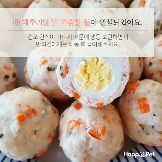 본문 이미지 - ⓒ News1
