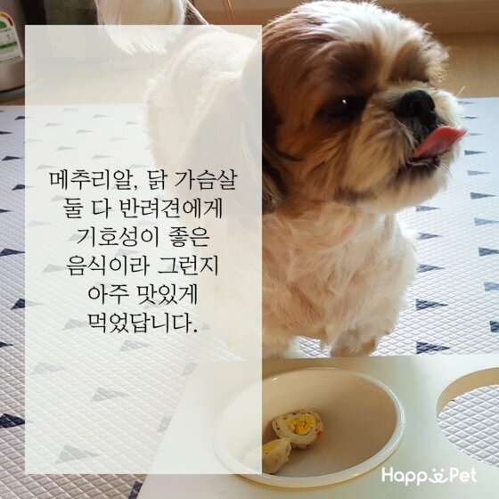 본문 이미지 - ⓒ News1