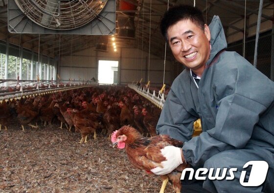 본문 이미지 - 지난 여름 AI 사태로 큰 피해를 본 조천병아리농장 대표 김학충씨가 재기의 발판이 될 새로 키운 닭들을 안고 웃음을 짓고 있다ⓒ News1