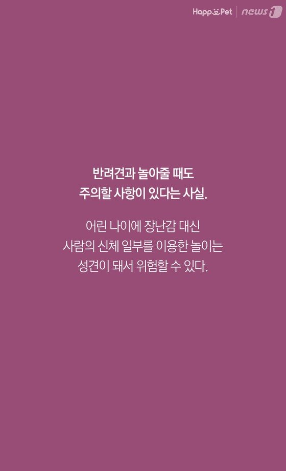본문 이미지 -  