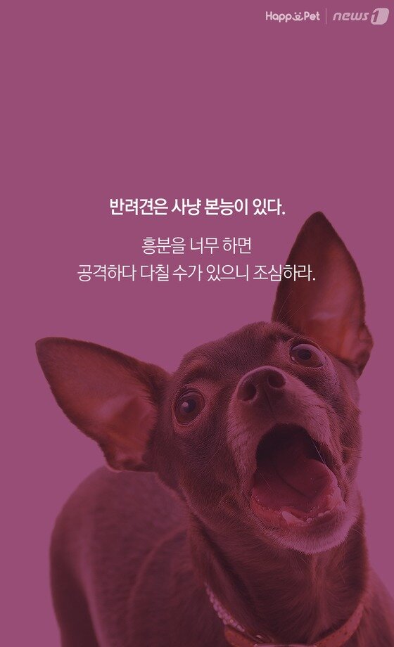 본문 이미지 -  