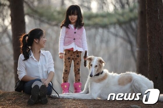 본문 이미지 - 서지형 팀장은 "마사지를 통해 사람과 동물이 교감할 수 있다"고 말했다.(자료사진) ⓒ News1