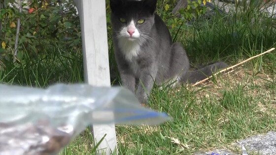 본문 이미지 - ⓒ News1