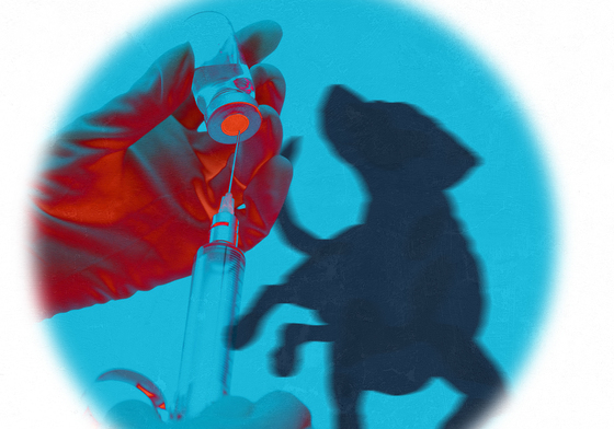 "키우다 힘들면 죽여드립니다"…동물장묘업체 살해 무혐의 논란