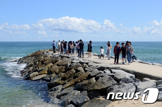 본문 이미지 - 강원 강릉시 영진해변 '도깨비 방사제'(뉴스1 DB)