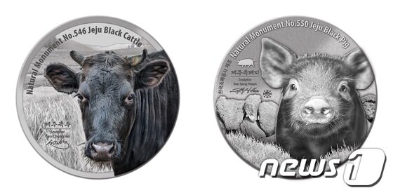 본문 이미지 - 제주 흑우와 흑돼지 기념메달 (문화재청 제공) ⓒ News1