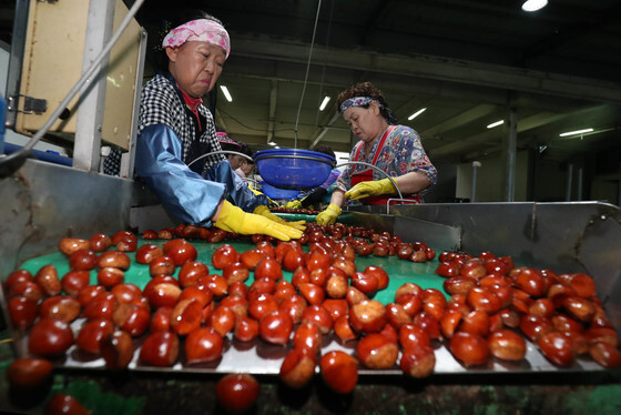 '2028 충남 국제밤산업박람회' 개최 청신호…예산처 심사위 통과