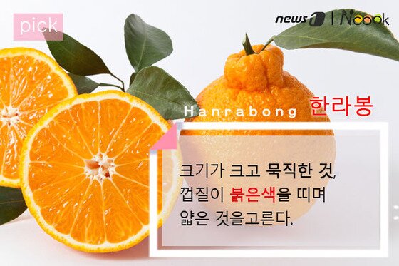 2월의 제철 과일 3선 (한라, 자몽, 딸기 고르는 법) 5