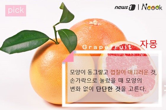 2월의 제철 과일 3선 (한라, 자몽, 딸기 고르는 법) 2