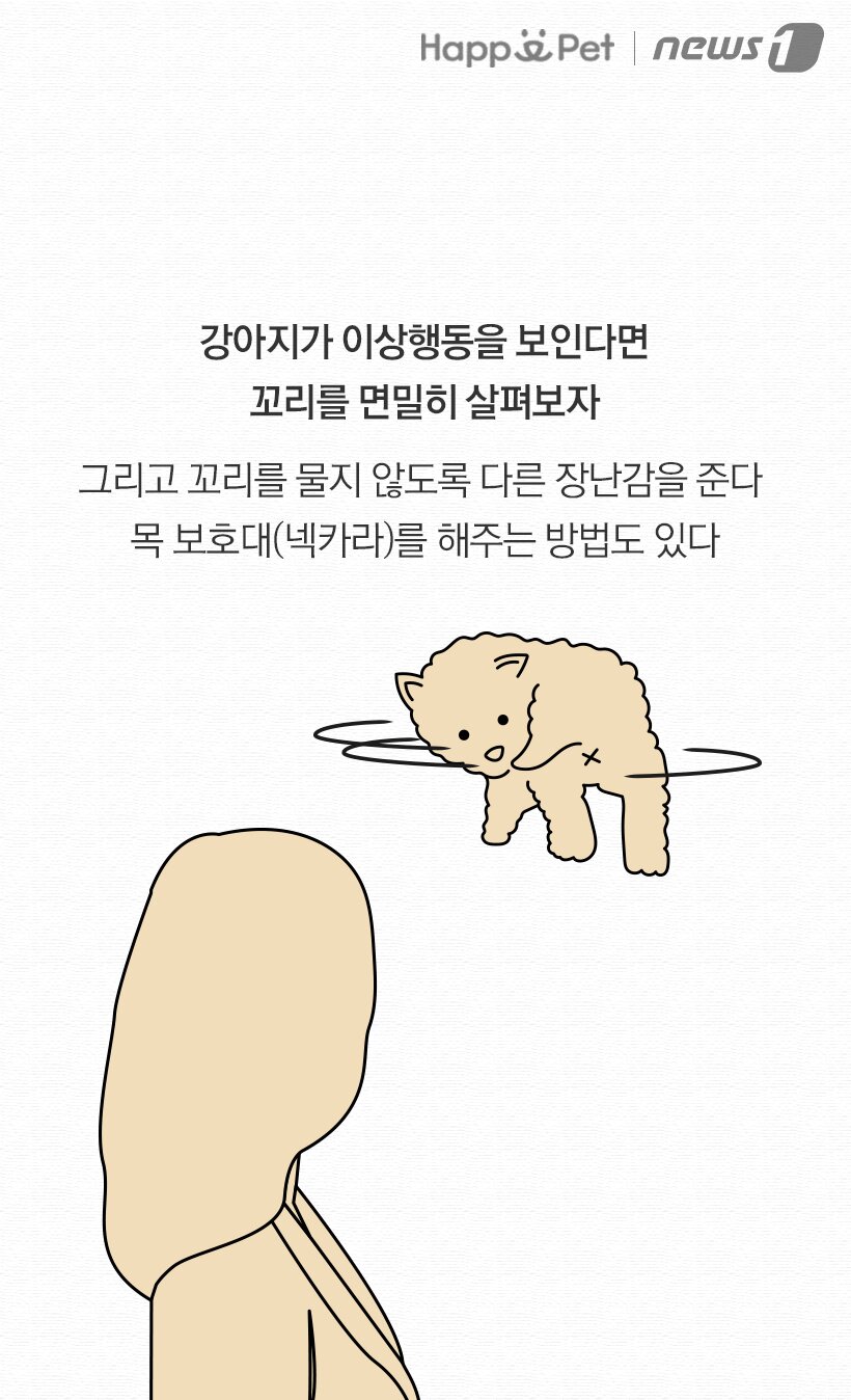 본문 이미지 -  