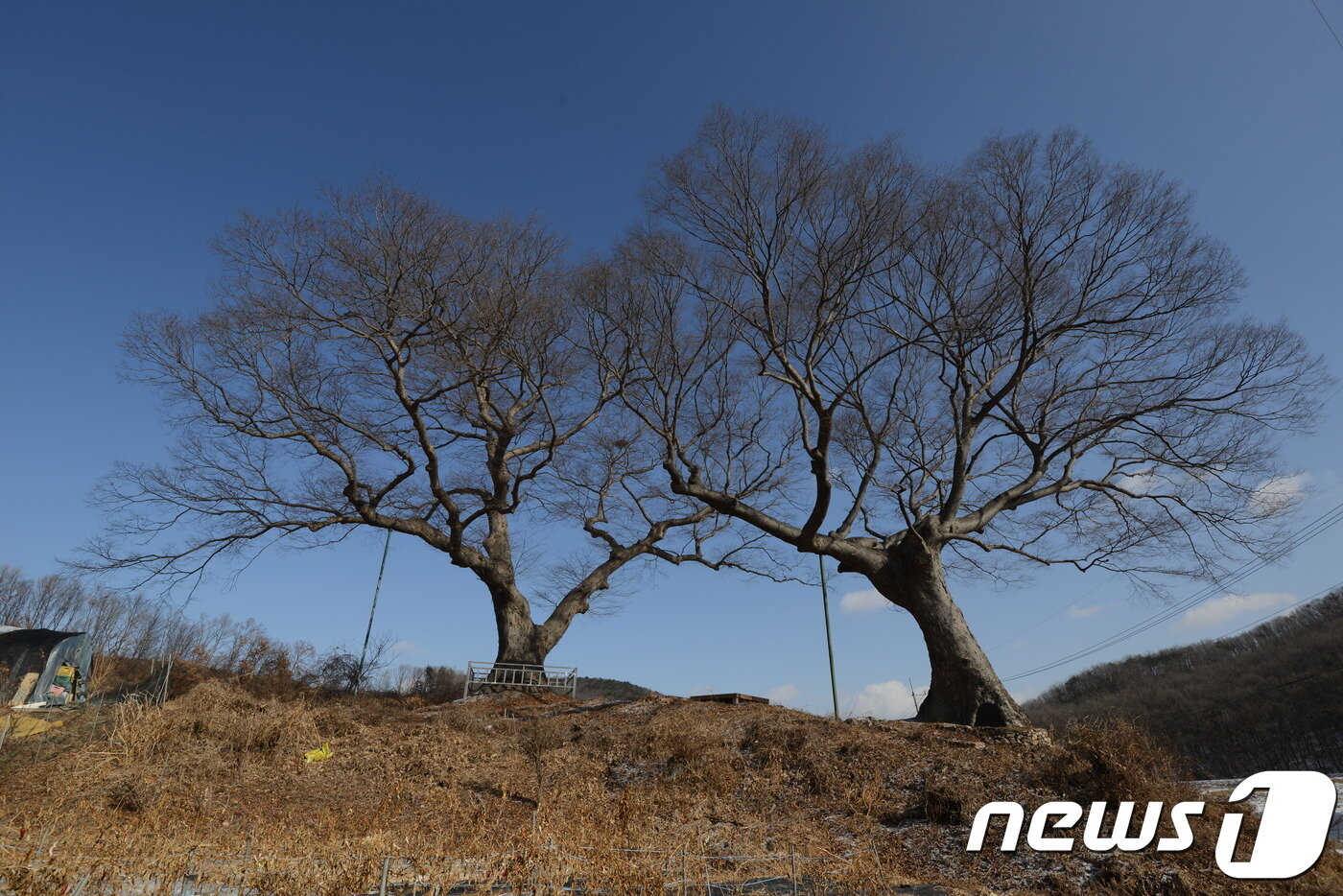 본문 이미지 - 평화누리길3코스ⓒ News1