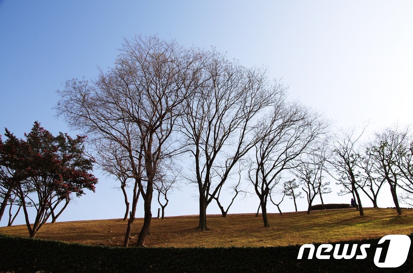 본문 이미지 - 동래읍성뿌리길ⓒ News1