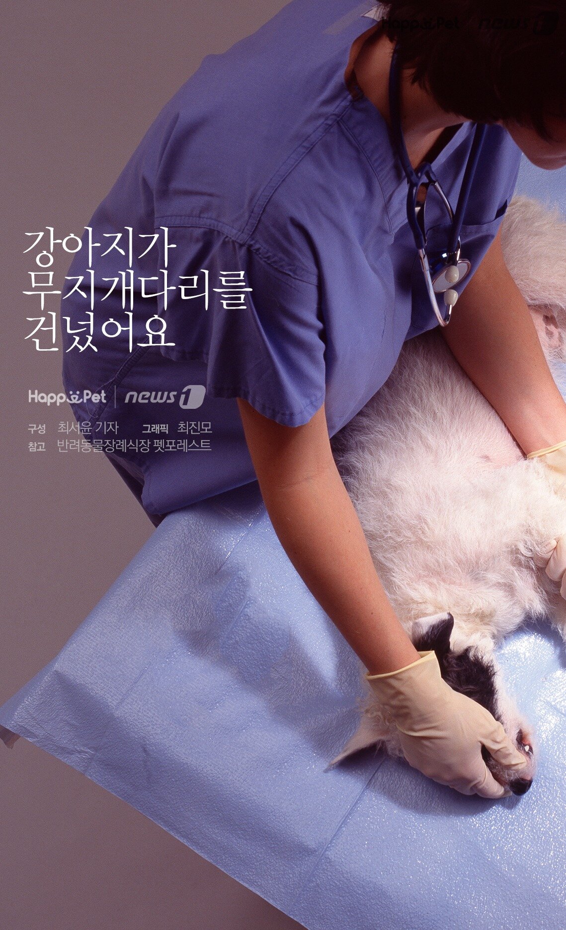 본문 이미지 - 참고 반려동물장례식장 펫포레스트