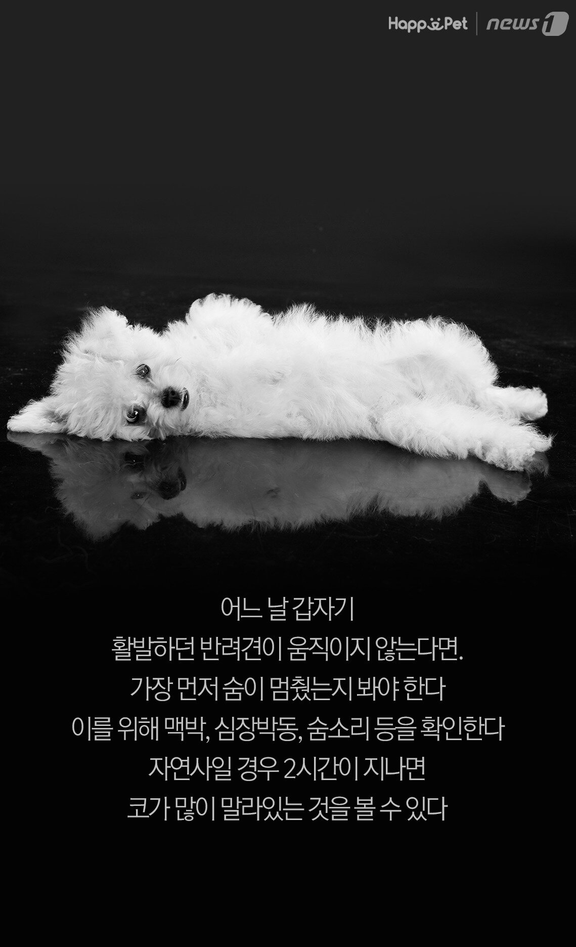 본문 이미지 -