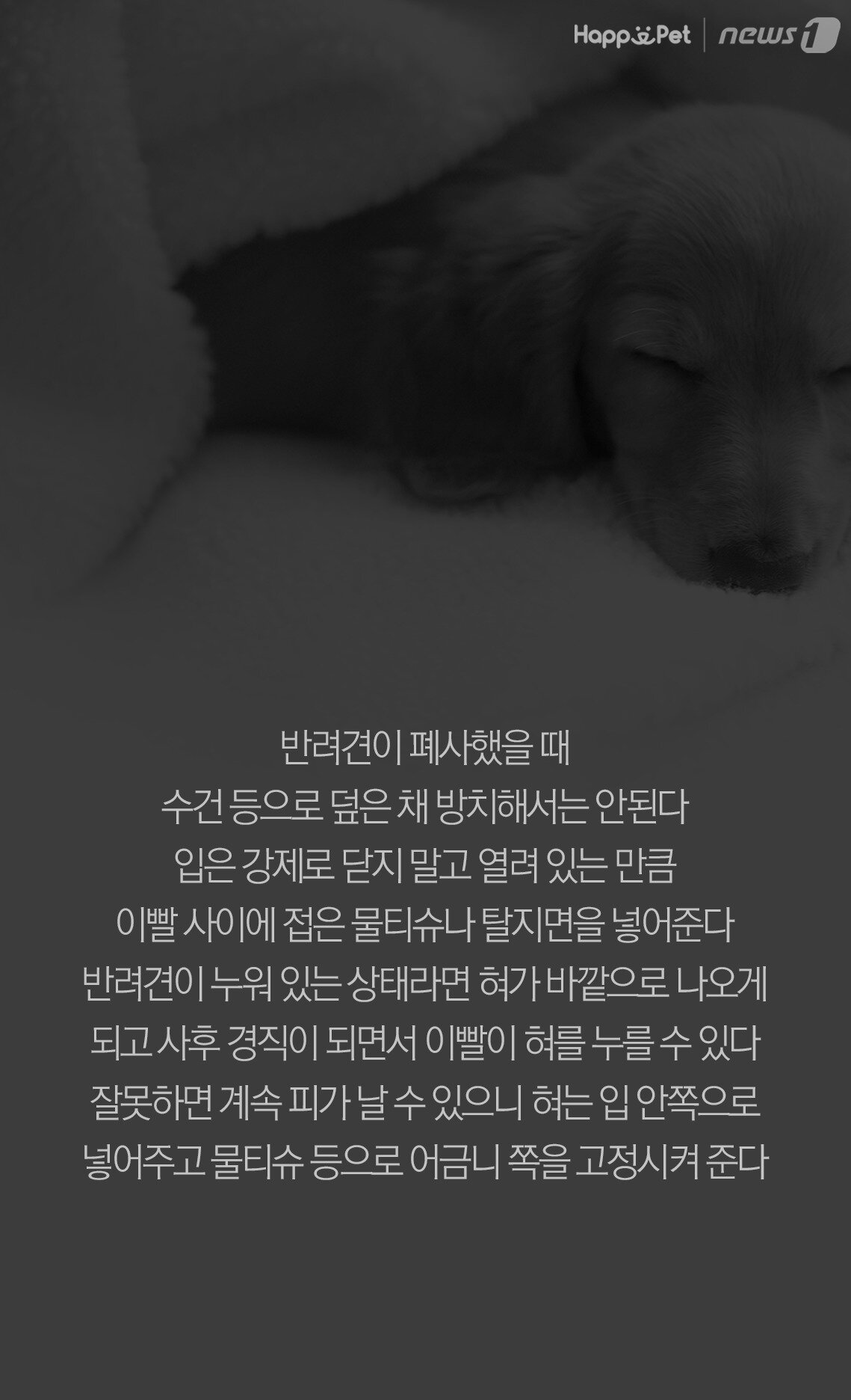 본문 이미지 -  