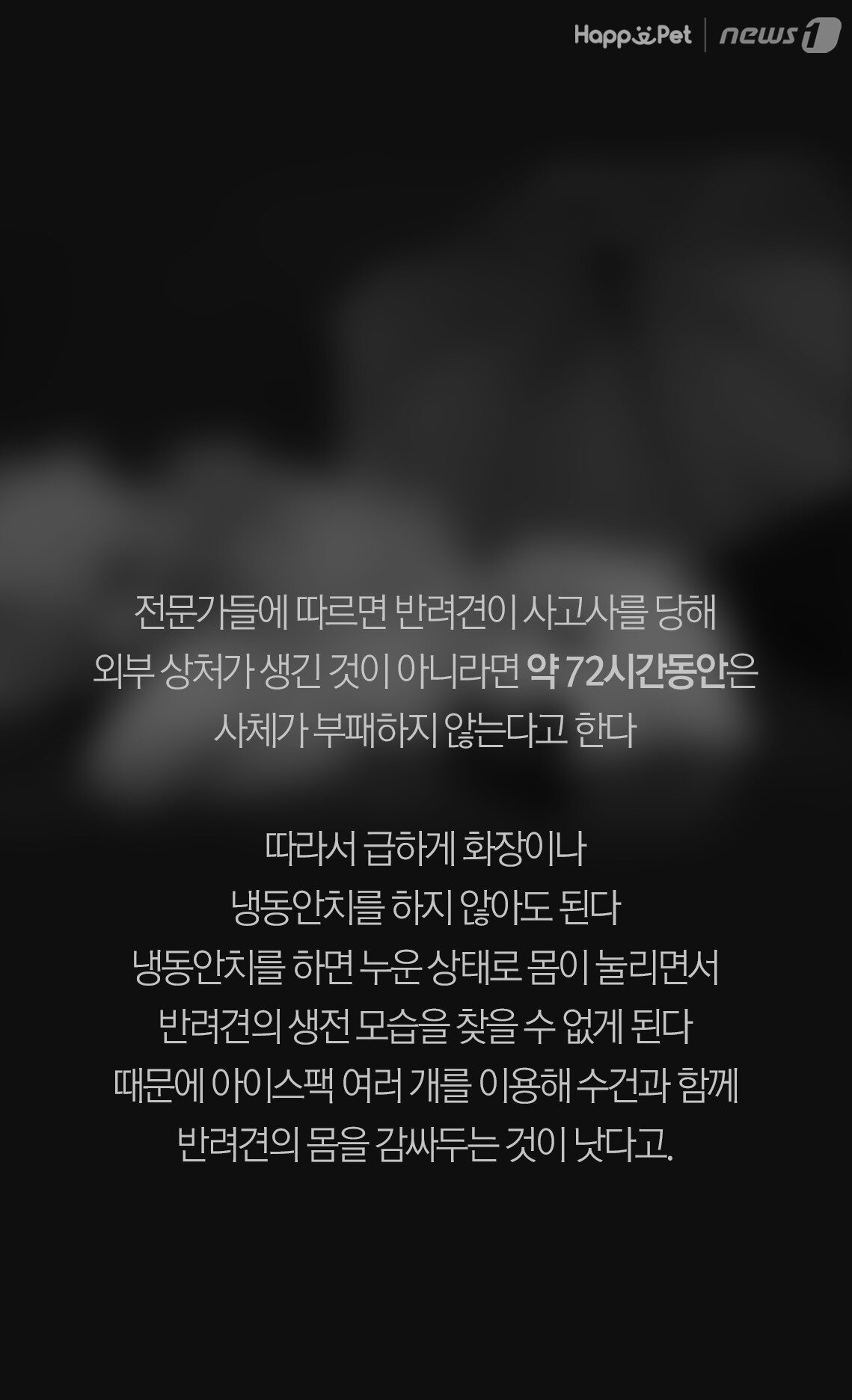 본문 이미지 -
