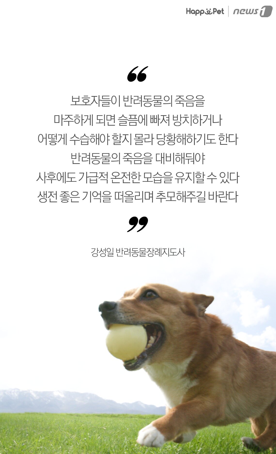 본문 이미지 -  