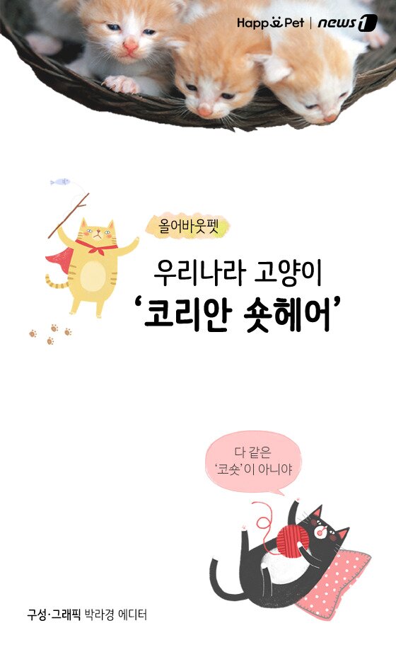 본문 이미지 - ⓒ News1