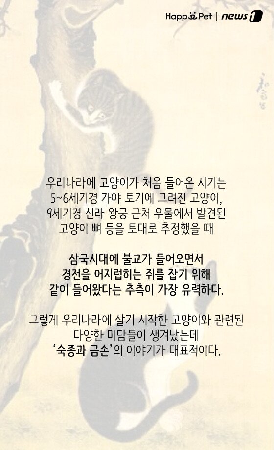 본문 이미지 - ⓒ News1