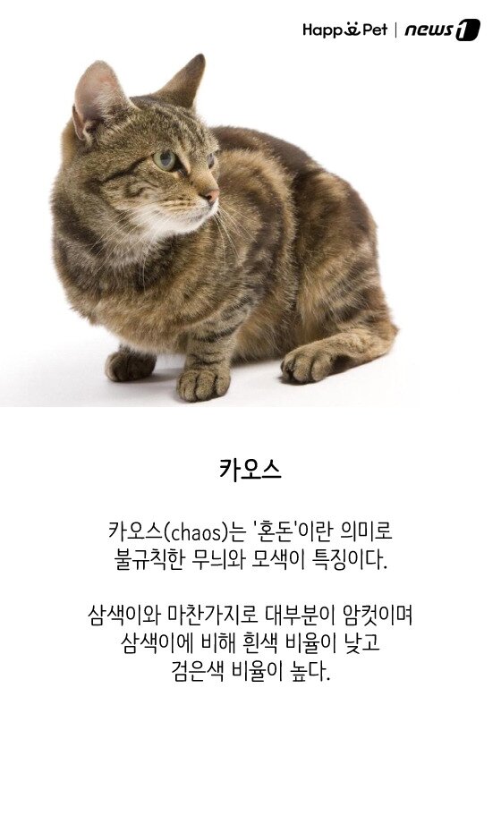 본문 이미지 - ⓒ News1