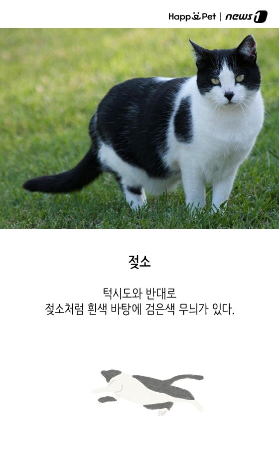 본문 이미지 - ⓒ News1