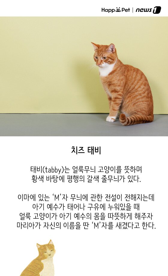 본문 이미지 - ⓒ News1