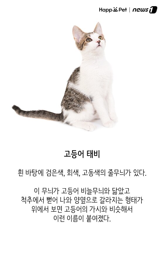 본문 이미지 - ⓒ News1