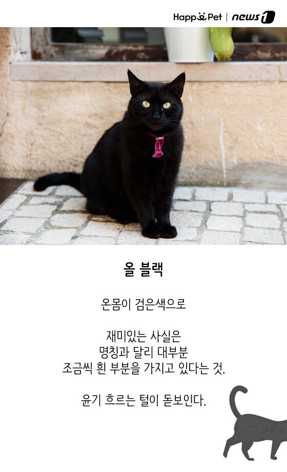 본문 이미지 - ⓒ News1