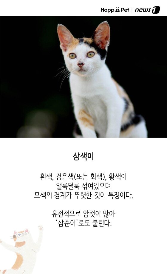 본문 이미지 - ⓒ News1