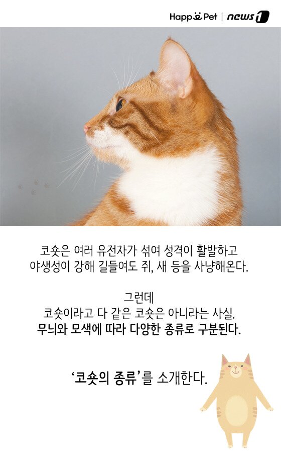 본문 이미지 - ⓒ News1