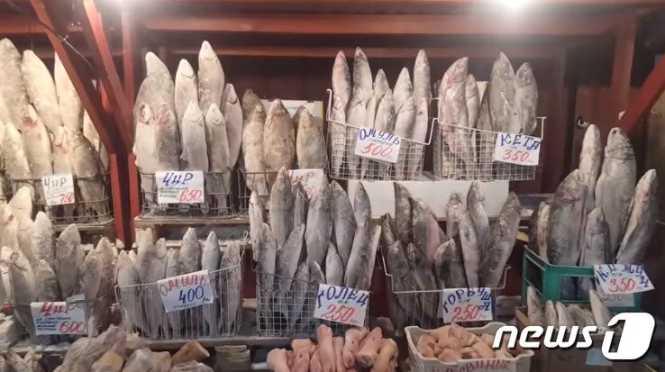 본문 이미지 - 러시아 야쿠츠크 어시장 바구니에 꽁꽁 언 생선들이 꽂혀있다.  (유튜브 갈무리) ⓒ News1