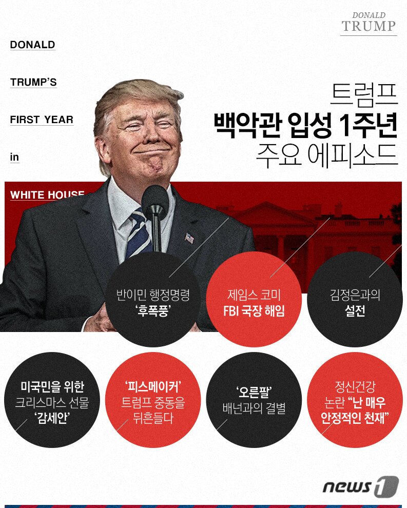 본문 이미지 - ⓒ News1 최진모 디자이너