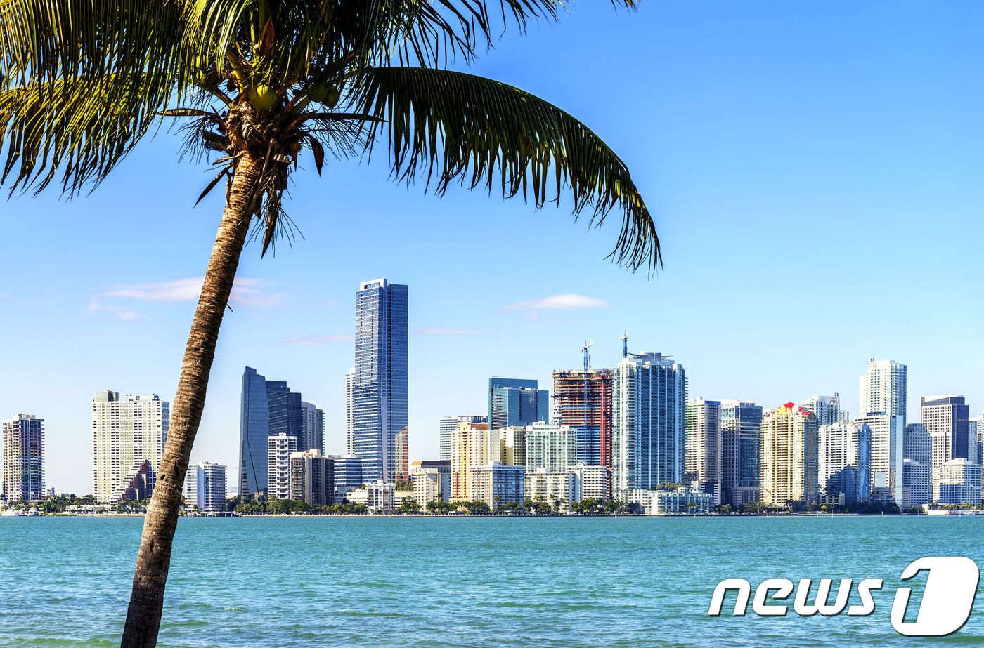 본문 이미지 - 마이애미 시내 ⓒ News1