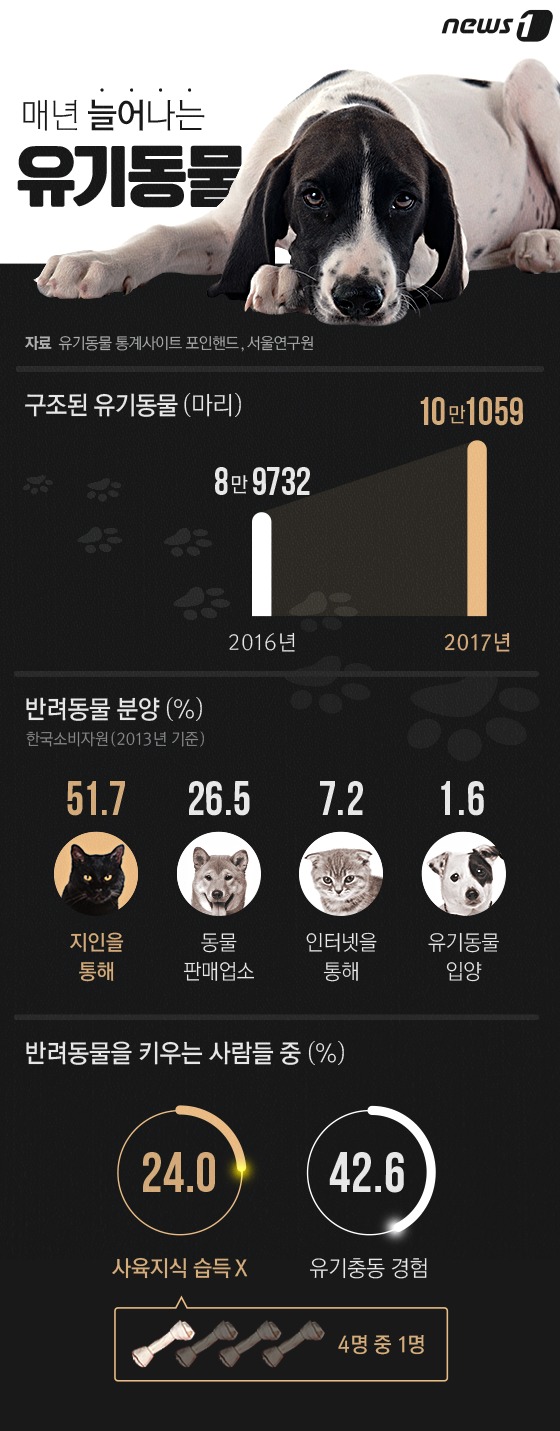 [그래픽뉴스] 매년 늘어나는 유기동물