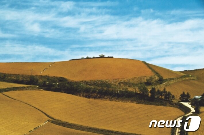 본문 이미지 - 올림픽 아리바우길 5코스 안반데기ⓒ News1