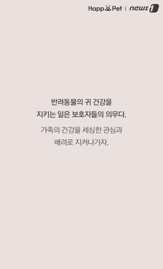 본문 이미지 -  